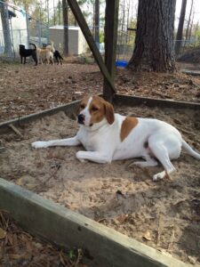 DDC Jay Barker sandbox 1