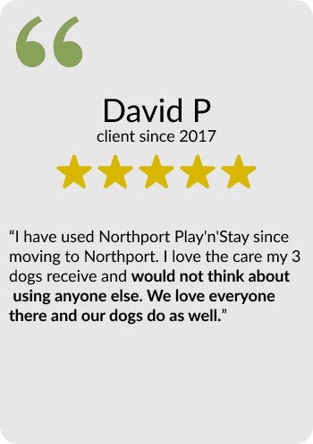 david-p